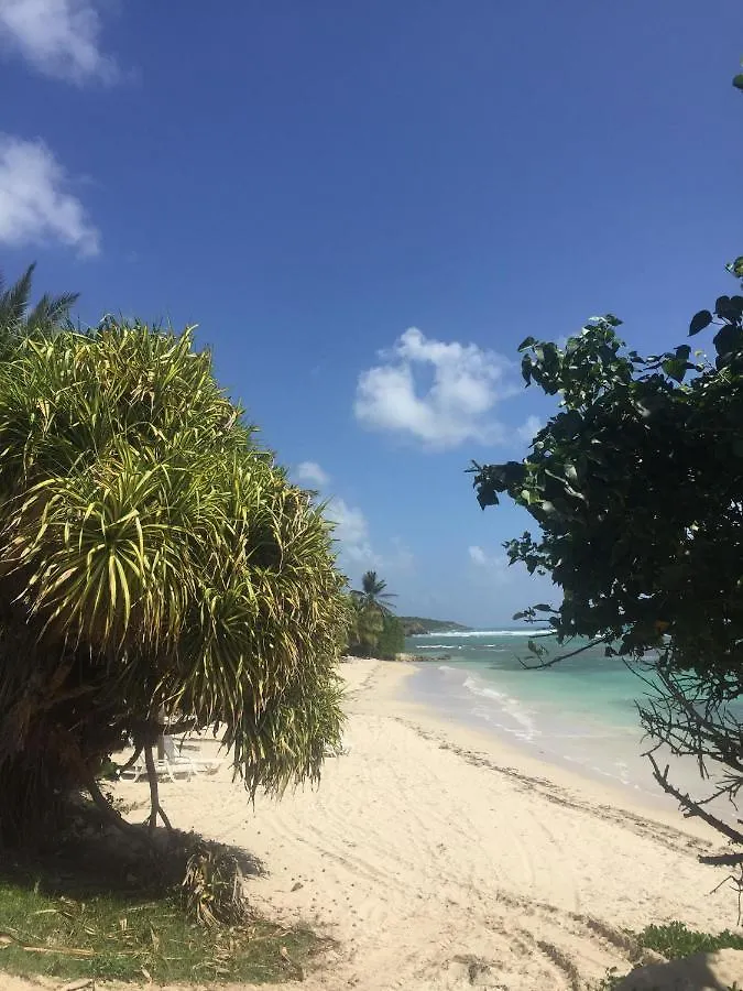 Studio Carambole Vue Mer - Piscines - Plages - Village Vacances Sainte Anne Guadeloupe 아파트