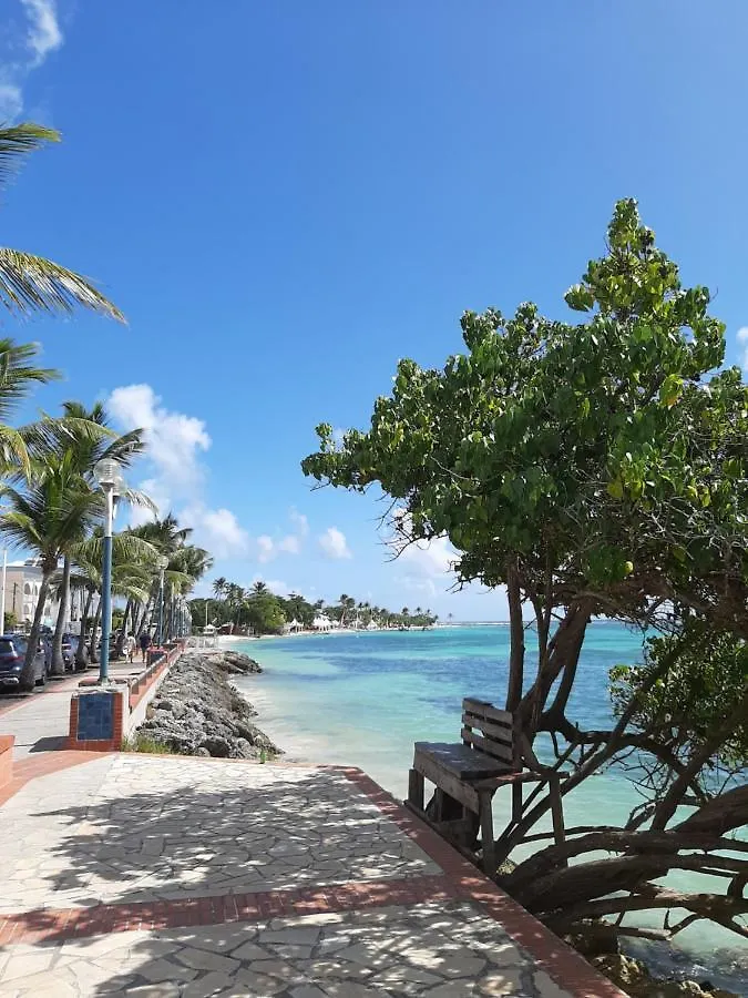 STUDIO CARAMBOLE VUE MER - Piscines - Plages - Pierre et vacances Sainte-Anne  0*, Sainte-Anne (Grande-Terre)